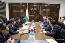 Обсуждено сотрудничество Таджикистана и Германии в сфере энергетики и водных ресурсов