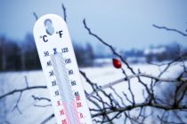 Новой климатической угрозой стали резкие перепады суточной температуры