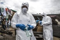 Конго официально объявляет об окончании последней вспышки лихорадки Эбола