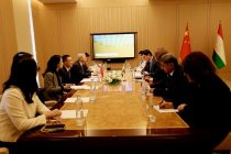 Таджикистан и Китай договорились о проведении культурных обменов, выставок и фестивалей