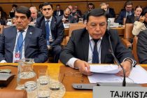 Делегация приняла участие в Возобновлённой 68-й сессии Комиссии ООН по наркотическим средствам