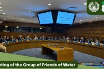 В Нью-Йорке состоялось очередное заседание Группы друзей воды
