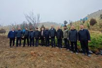 В Таджикистане и Китае придают большое значение охране окружающей среды