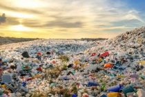 К 2040 году объем пластикового мусора в мире может вырасти более чем вдвое — до 280 миллионов тонн в год