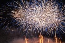 Медики призвали к запрету фейерверков в Германии