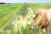 В Москве обсудили роль селекции в адаптации растений и продовольственной безопасности в условиях Таджикистана