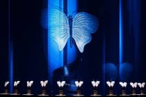 В Москве вручили первую премию «Бриллиантовая бабочка»