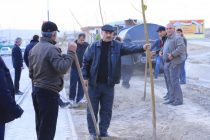 В Хатлонской области стартовала кампания по посадке саженцев