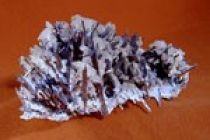 Таджикистан занимает ведущее место в мире по запасам сурьмы и ртути