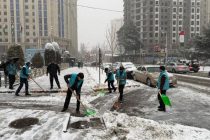 «ЕСЛИ МЫ ЭТОГО НЕ СДЕЛАЕМ, КТО ЭТО СДЕЛАЕТ?». В Душанбе организована акция по уборке снега с участием волонтеров