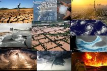 Экстремальная погода в январе привела к тяжелым экономическим и человеческим потерям