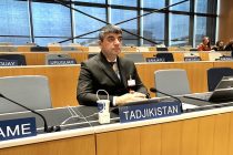 Представитель Таджикистана принял участие в неофициальном заседании Координационного комитета Всемирной организации интеллектуальной собственности