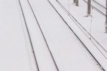 На западе Нидерландов почти полностью остановили движение поездов из-за снегопада