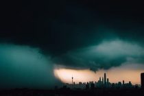 ООН: инвестиции во вредную для природы деятельность в 30 раз превышают потраченное на её защиту