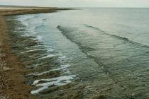 Объем воды в Северном Аральском море может увеличиться до 34-х миллиардов кубометров за 5 лет