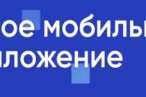 С 2026 года все формы путевок и листовок запущены через мобильное приложение