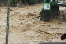 В ЮАР из крупнейшего заповедника экстренно эвакуировали более 600 человек