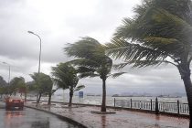 В Алжире временно закрыли большинство школ из-за угрозы мощного шторма