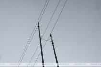 В Берлине почти 20 тысяч домохозяйств пятый день остаются без света