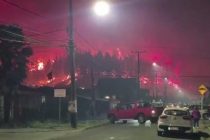 В Чили из-за лесных пожаров погибли 15 человек