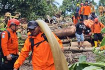 В Индонезии из-за наводнения погибли 14 человек