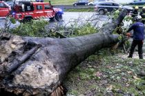 В Португалии более 290 тысяч человек остаются без электричества из-за урагана