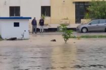 В Тунисе из-за вызванных дождями наводнений погибли 4 человека