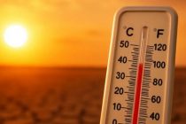 ВМО подтвердила, что 2025 год стал одним из самых теплых за всю историю наблюдений