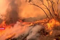 Жара в Австралии усугубила лесные пожары, жители городов эвакуированы