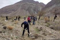 В Горно-Бадахшанской автономной области будет восстановлено более 200 гектаров лесов