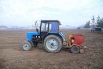 В районе Кушониён стартовала кампания по посадке картофеля