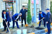 ДУШАНБЕ — ЗЕЛЕНЫЙ ГОРОД. В районе Исмоили Сомони состоялась кампания по посадке деревьев