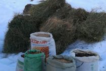 В Ванчском районе создают кормовые запасы для птиц и зверей на зиму