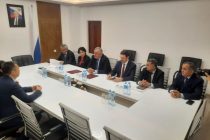 Развивается сотрудничество в области развития модели «специальность + китайский язык»