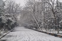 О ПОГОДЕ: сегодня  в Таджикистане  облачно, снег