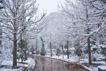 О ПОГОДЕ: сегодня  в Таджикистане  переменная облачность, ночью осадки (дождь, снег), днем без осадков