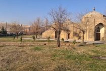 Продолжается кампания по   благоустройству и озеленению территорий историко-культурных памятников