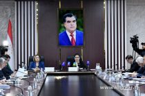 295 семьям внутренних мигрантов выделены земельные участки