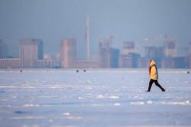 Финский залив полностью замерз впервые за 15 лет