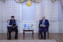 В Душанбе обсудили реализацию проектов ПРООН в Таджикистане