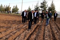 Заместитель Премьер-министра Таджикистана ознакомился с ситуацией в сельском хозяйстве в Гиссаре, Турсунзаде и Шахринаве