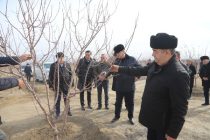 Заместитель Премьер-министра Таджикистана ознакомился с деятельностью земледельцев в Исфаре