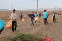 В Шахритусском районе провели экологическую акцию
