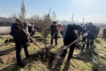 Усиливаются меры по озеленению в рамках «Международного десятилетия наук о криосфере»