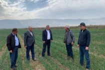 Заместитель Премьер-министра Таджикистана ознакомился с состоянием полевых работ в Фархорском районе