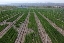 Рациональное использование воды и земли является важнейшим условием обеспечения развития национальной экономики