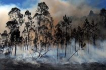 Чрезвычайное положение объявлено в Небраске из-за пожаров в США