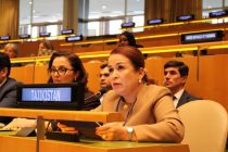 Делегация Таджикистана приняла участие в общих дебатах 70-й сессии Комиссии ООН по положению женщин