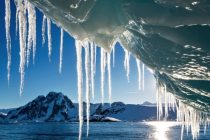 Площадь морского льда в Антарктике в 2026 году частично восстановилась