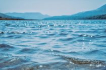 В рамках декады наук ООН состоится Байкальский международный экологический конгресс